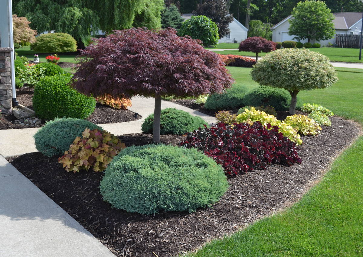Landscape Design in Portland example 6