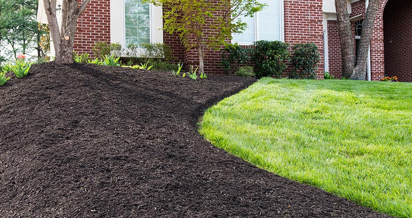 Mulch Installation in Portland example 1