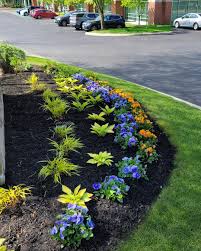 Tree & Shrub Planting in Portland example 6