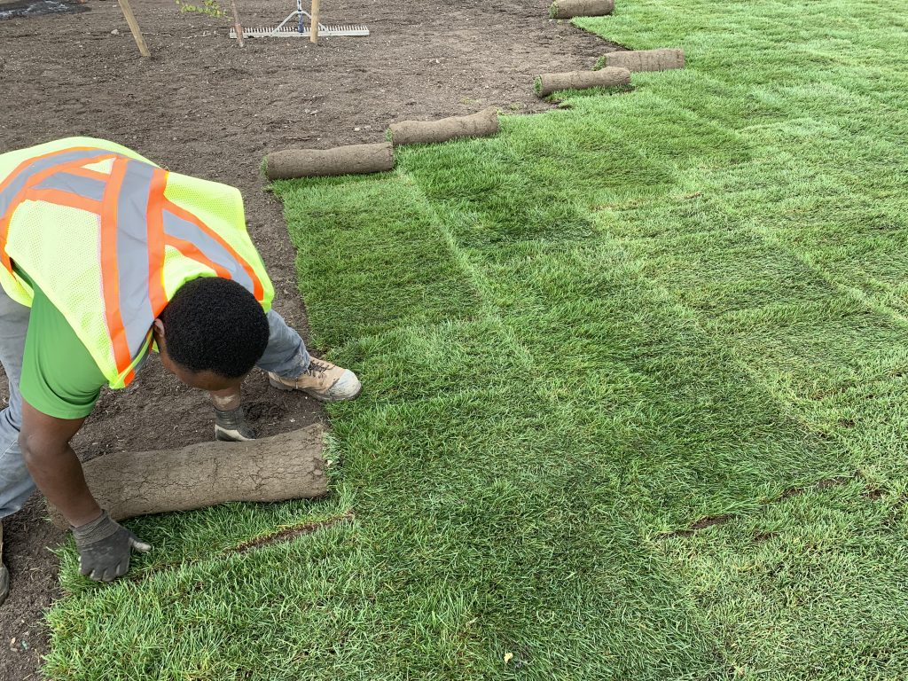 Sod Installation in Portland example 1