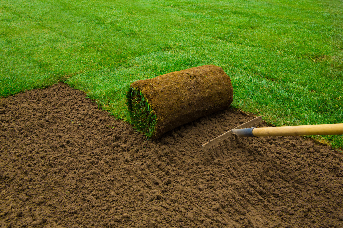 Sod Installation in Portland example 2