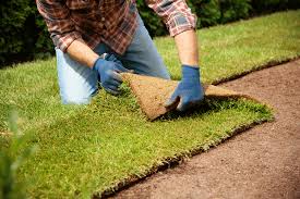 Sod Installation in Portland example 3