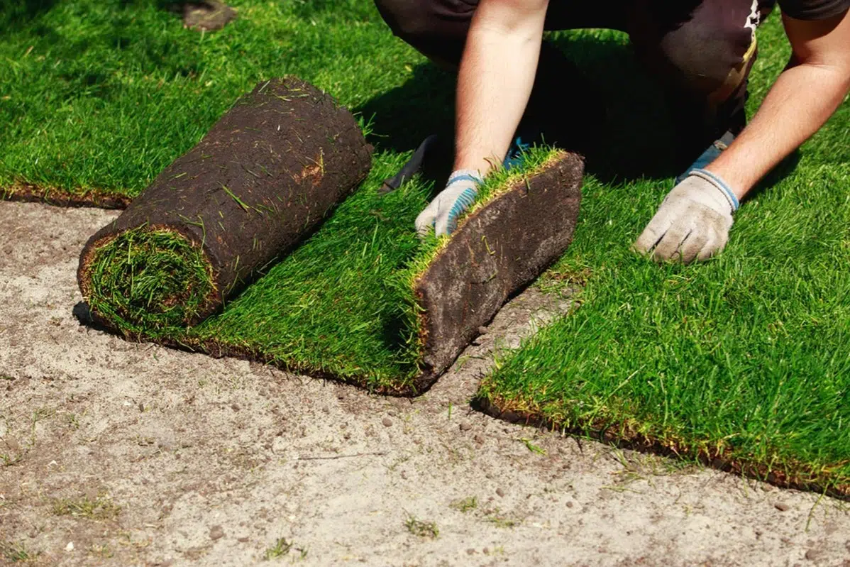 Sod Installation in Portland example 4