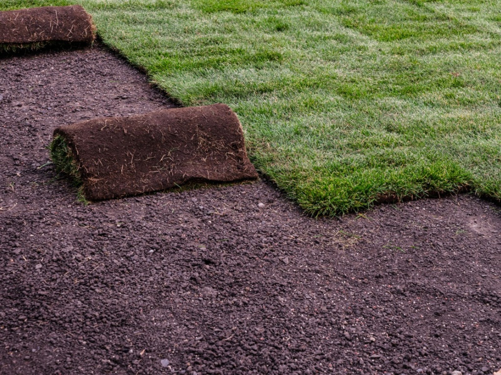 Sod Installation in Portland example 5